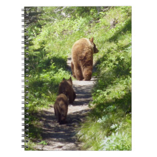 Carnet Famille d'ours Brown