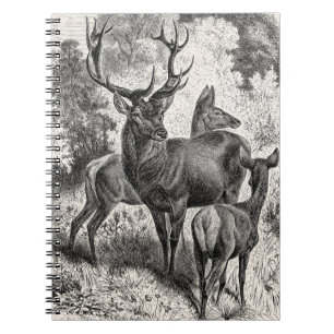 Carnet Faon vintage de daine de mâle d'illustration de