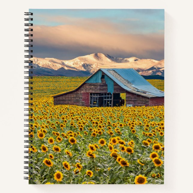 Carnet Farms | Field (Devant)