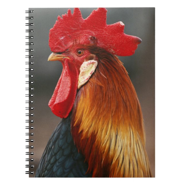 Carnet Farmyard Domestic (Devant)