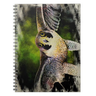 Carnet Faucon pèlerin