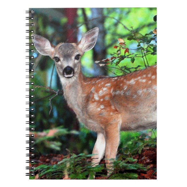 Carnet Faune localisée (Devant)