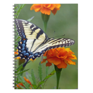 Carnet Femelle jaune Tigre de l'Est Swallowtail