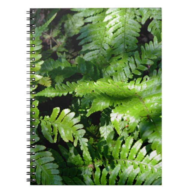 Carnet Fermes vertes du printemps (Devant)