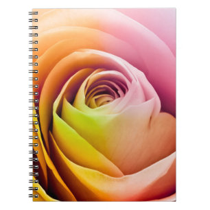 Carnet Fermez-vous des pétales de rose colorés