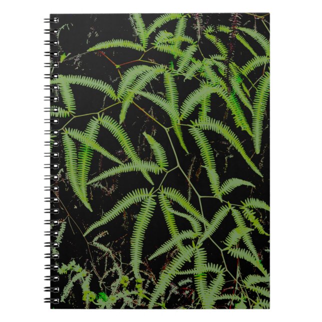 Carnet Fern (Devant)