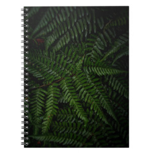 Carnet Fern plante