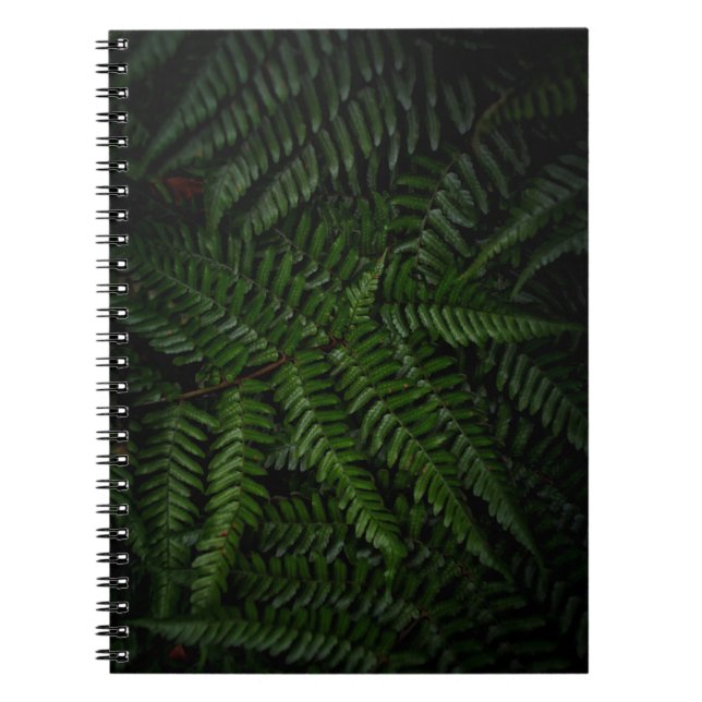 Carnet Fern plante (Devant)