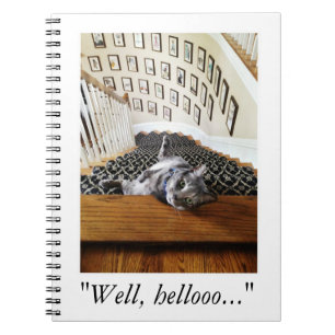 Carnet Ferris Mewler frappe sur vous