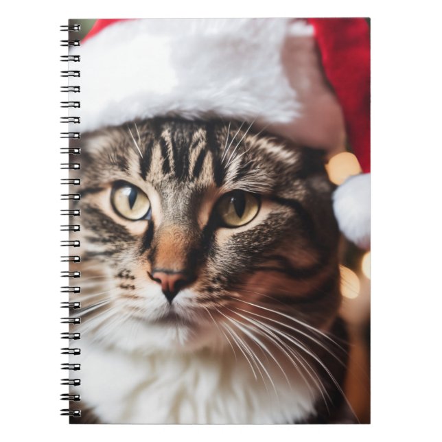 Carnet Festive Tabby (Devant)