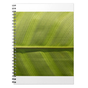Carnet feuille