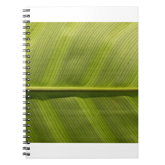 Carnet feuille (Devant)