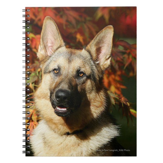 Carnet Feuille d'automne de berger allemand (Devant)