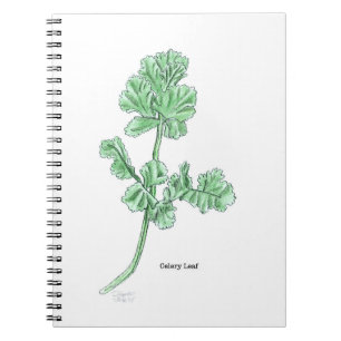 Carnet Feuille de céleri