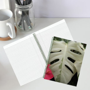Carnet Feuille de Monstera panachée botanique