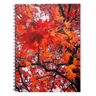 Carnet Feuille orange et rouge