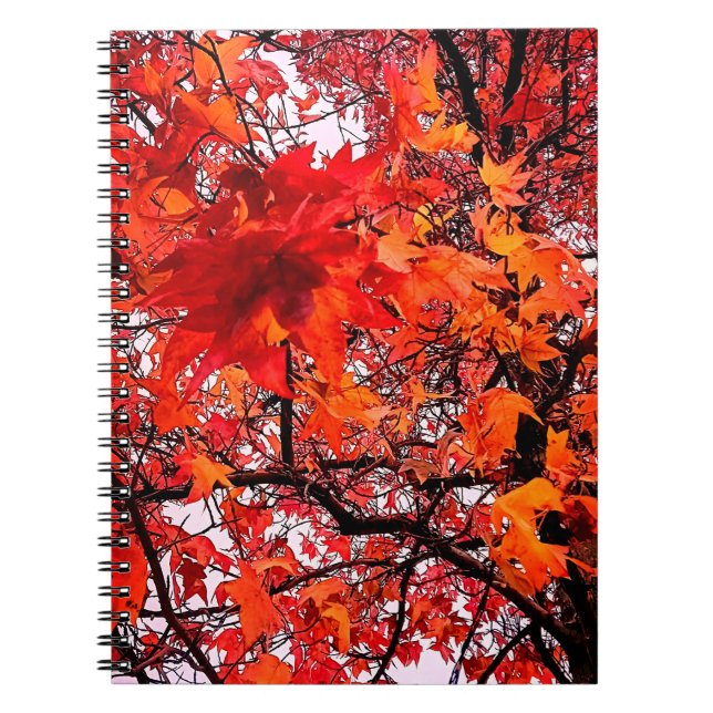 Carnet Feuille orange et rouge (Devant)