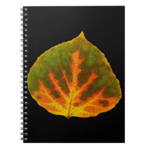 Carnet Feuille vert orange et jaune d'Aspen #1