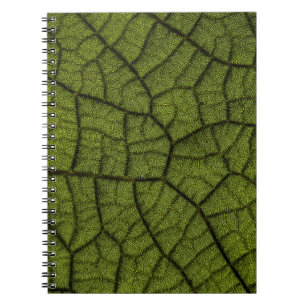 Carnet Feuille verte