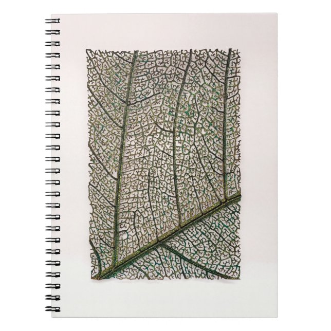Carnet Feuille verte (Devant)