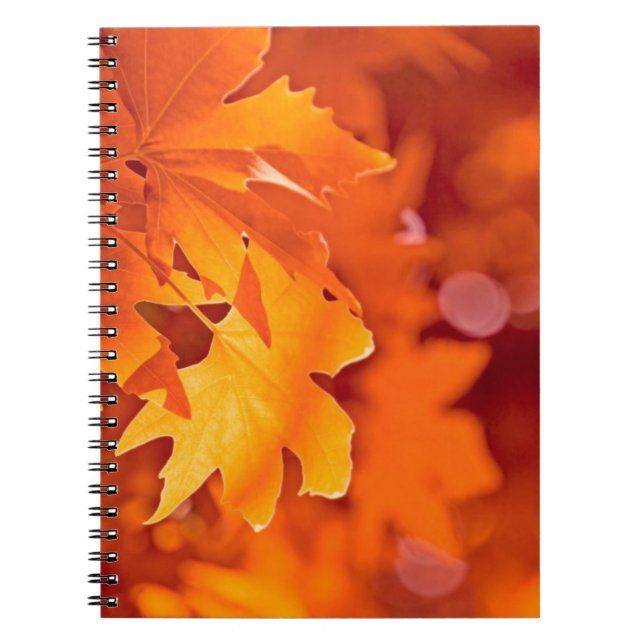 Carnet Feuilles d'automne (Devant)