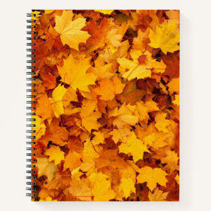 Carnet Feuilles d'automne