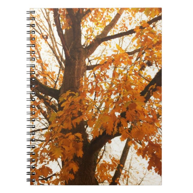 Carnet Feuilles d'automne (Devant)