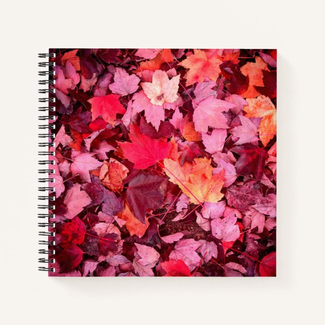 Carnet Feuilles d'automne colorées (Devant)