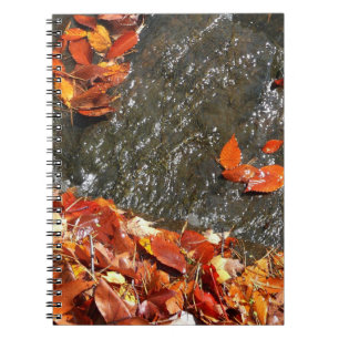 Carnet Feuilles d'automne dans la cascade I Photographie 