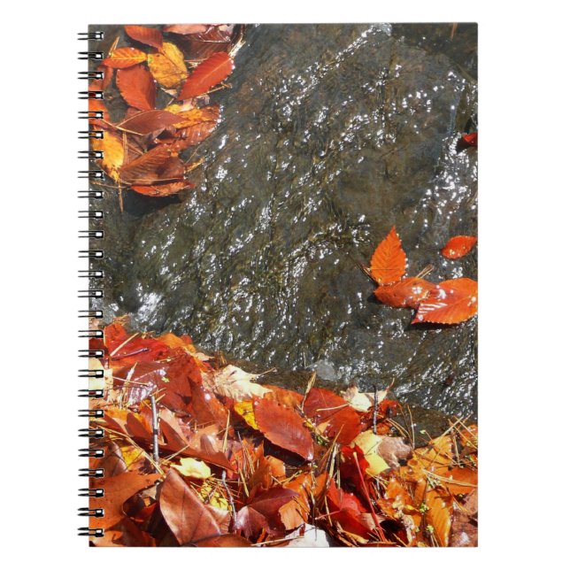 Carnet Feuilles d'automne dans la cascade I Photographie  (Devant)