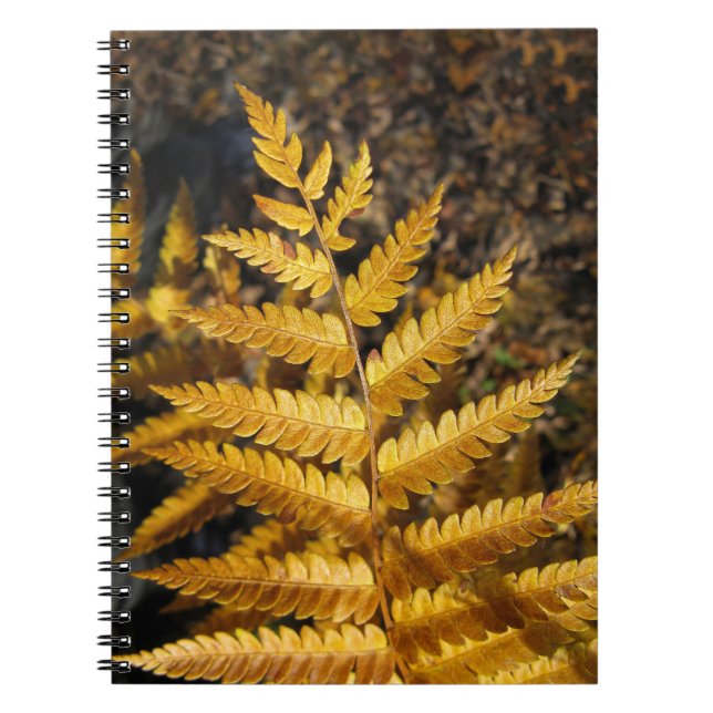Carnet Feuilles d'automne Golden Ferme Photo (Devant)