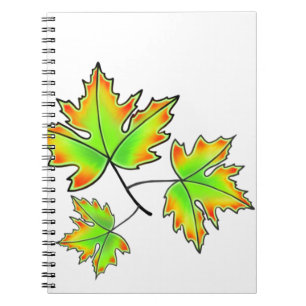 Carnet Feuilles d'automne rouge vert orange feuilles