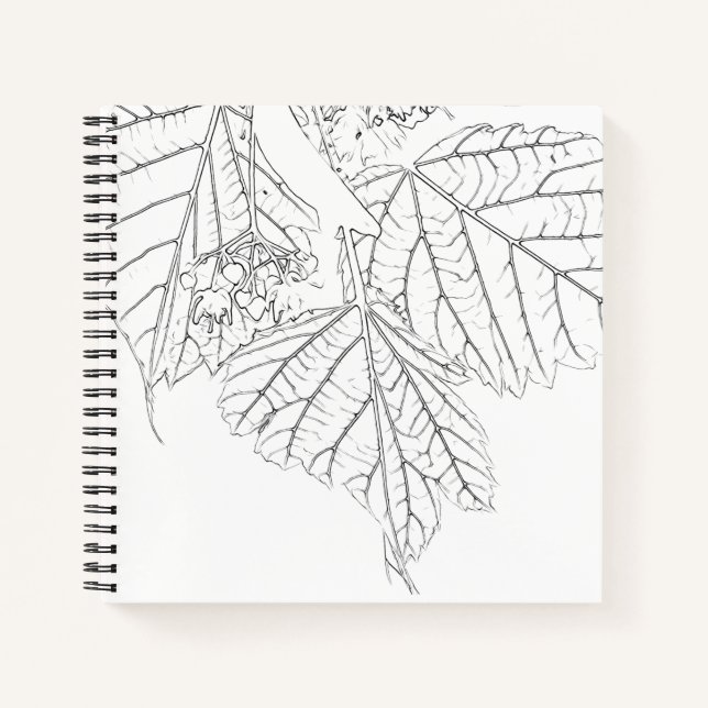Carnet Feuilles de Basswood (Devant)