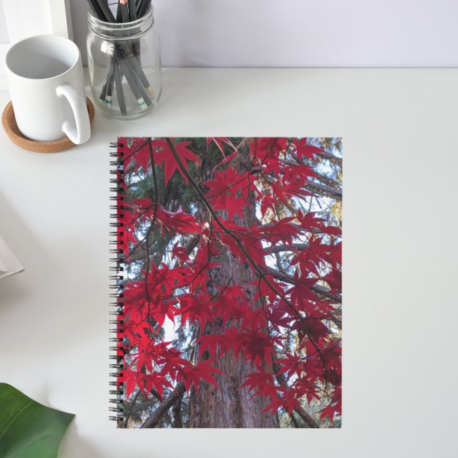 Carnet Feuilles de l'érable rouge et Séquoia géante (In Situ)