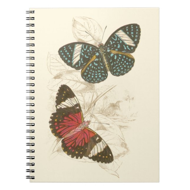 Carnet Feuilles de Sepia avec papillons colorés (Devant)