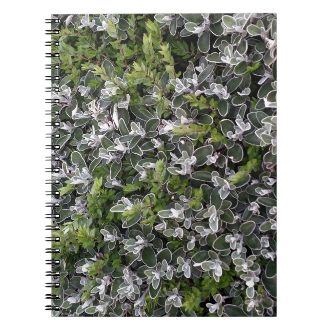 Carnet feuilles printaniers de buissons dans le parc moti (Devant)