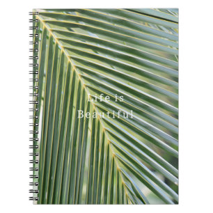 Carnet Feuilles tropicales de Kauai (photo prise par moi)