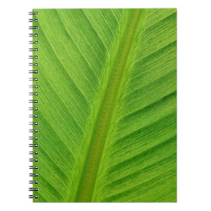 Carnet Fibres bananières