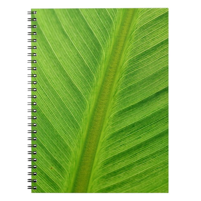 Carnet Fibres bananières (Devant)