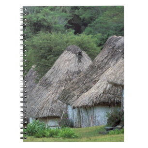 Carnet Fidji, Viti, Cases traditionnelles.