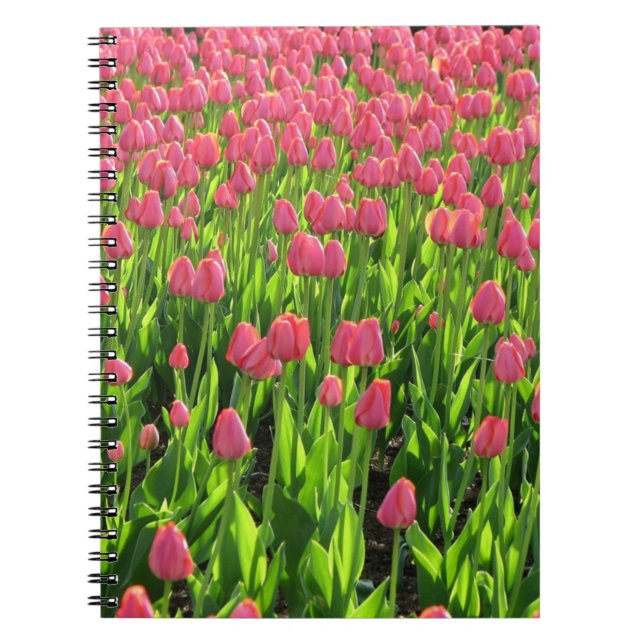 Carnet Field of Pink Tulips (Devant)
