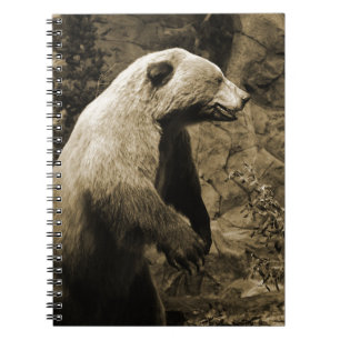 Carnet Fière Ours