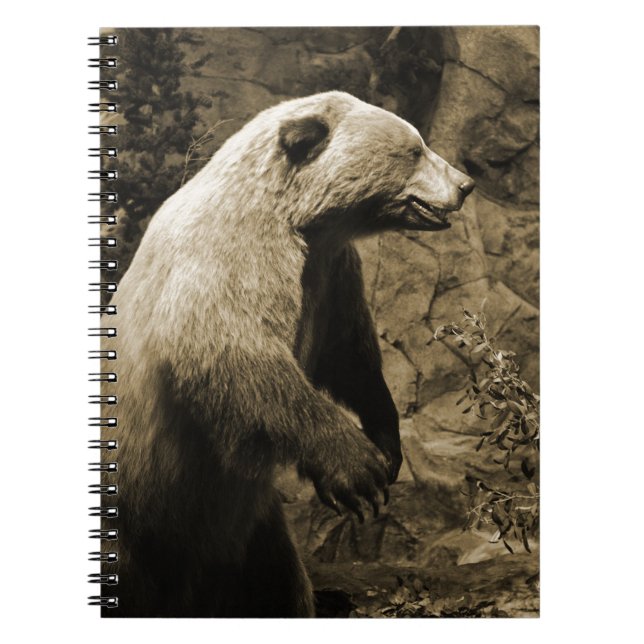 Carnet Fière Ours (Devant)