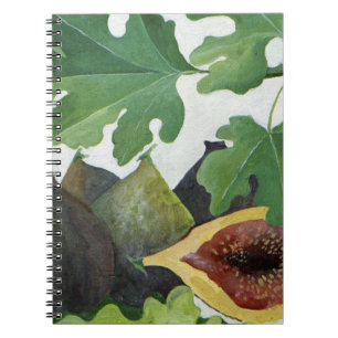 Carnet Figues 2013