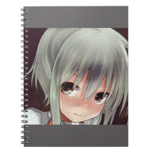 Carnet Fille anime aux cheveux en argent dans les chats d
