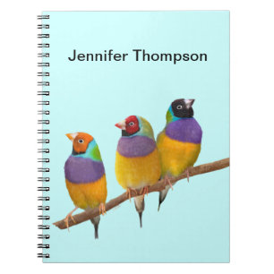 Carnet Finches gouldiennes colorées dans les Pastels