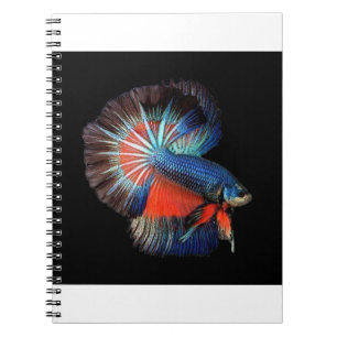 Carnet fish-5115102_1280