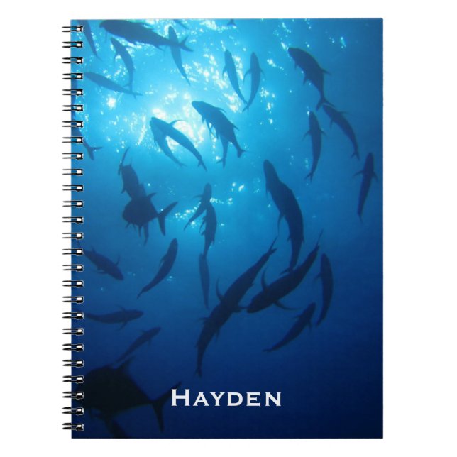 Carnet Fish Shoal and Sunlight Under the Sea Personnalisé (Devant)