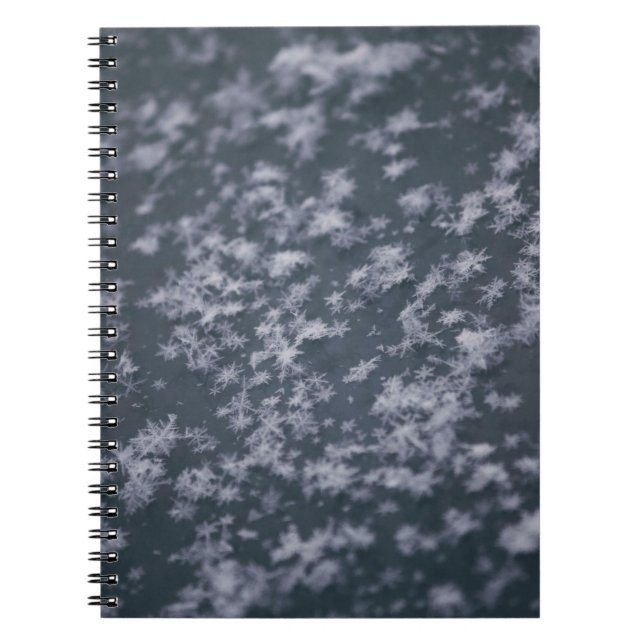 Carnet Flacons de neige (Devant)