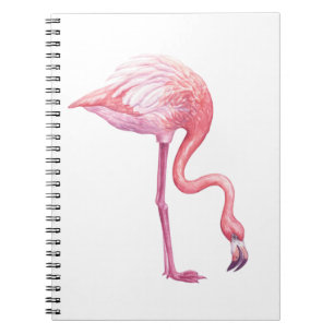 Carnet Flamant rose